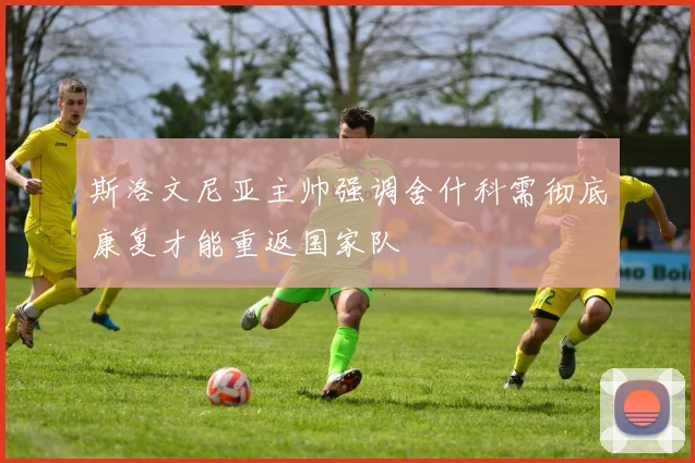 斯洛文尼亚主帅强调舍什科需彻底康复才能重返国家队